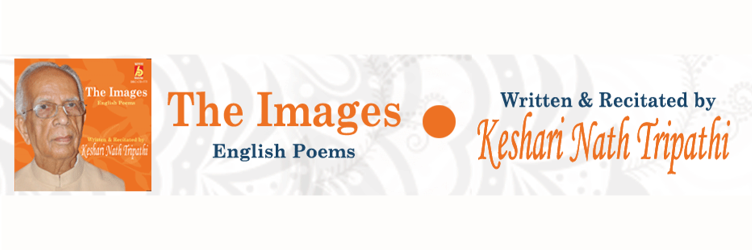 The-Images